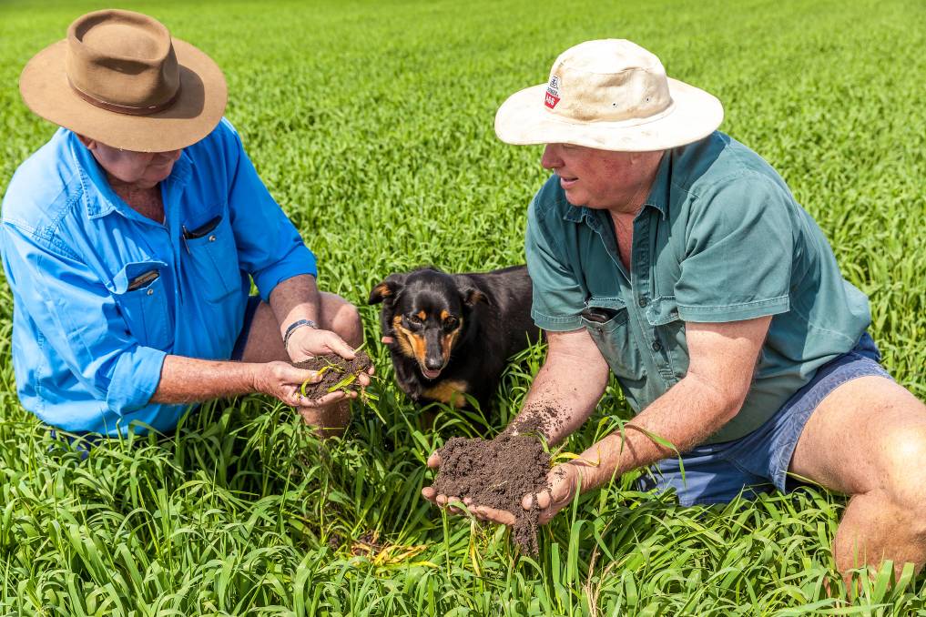 North-Queensland-Farm-Insurance-Northern-Insurance-Solutions