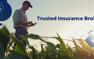 What Farmers Can Expect from Northern Insurance Solutions – One of Queensland’s Most Trusted Farm Insurance Brokers