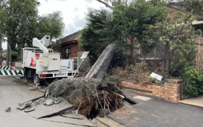 Don’t Wait Until Its Too Late Review Your Insurance Before Cyclone Season