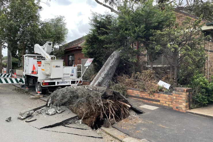 Don’t Wait Until Its Too Late Review Your Insurance Before Cyclone Season