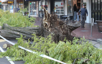 Prepare Your Business for Cyclone Season - Review Your Insurance Policy NOW!